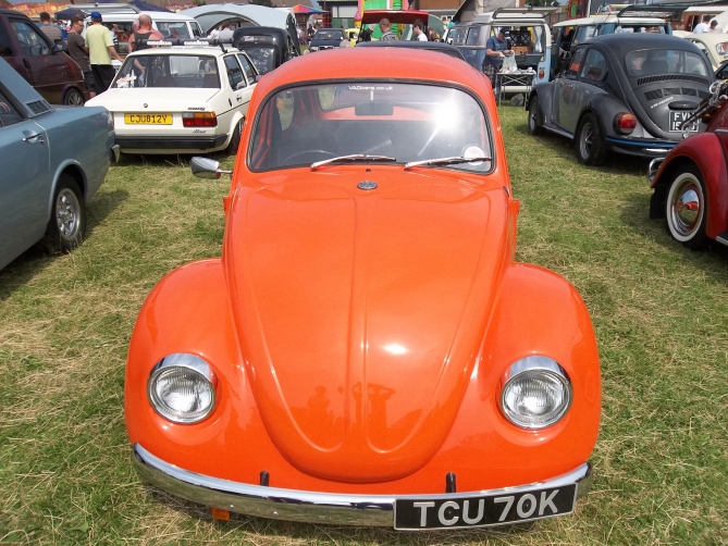 The Perfect Beetle