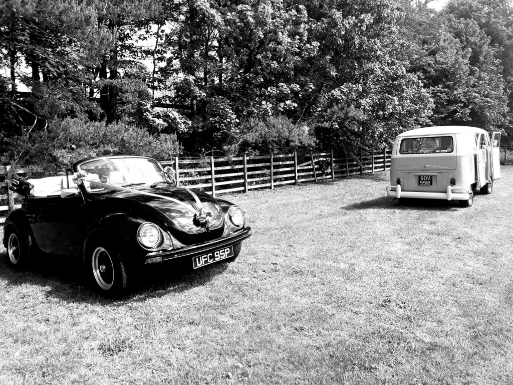 Beetle and Camper in the field within the Parlour at Blagdon